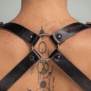 O Basic Harness