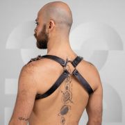 O Basic Harness