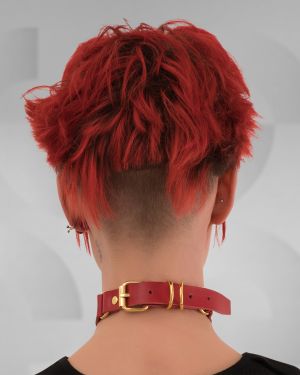 Electa Collar Red – Leather