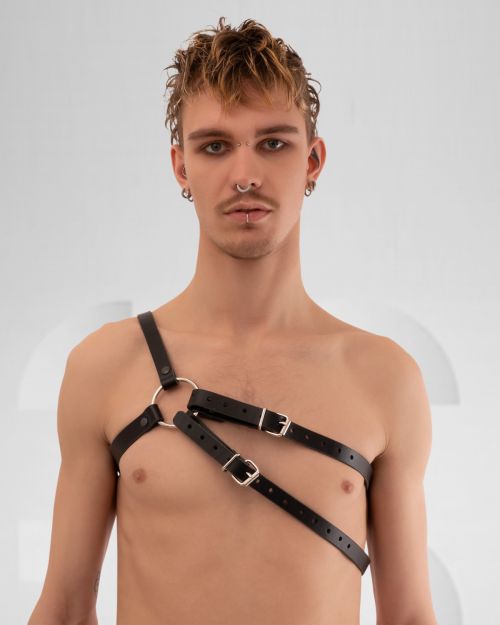 Double Strap Harness